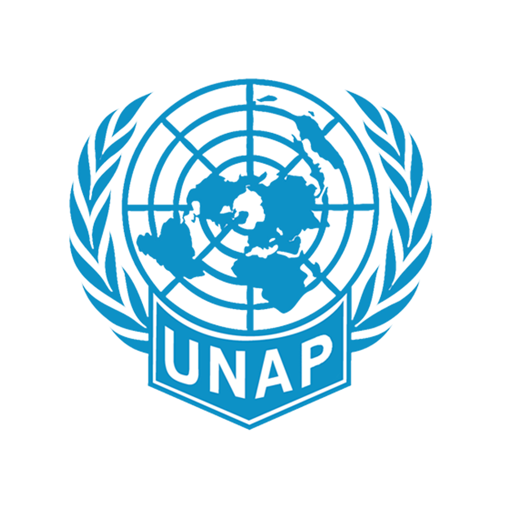 UNAP Annual Activity Report 2020